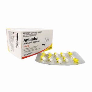 アンチローブ25mg80カプセル