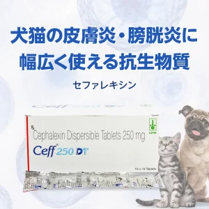 セファレキシン（Cephalexin）250mg
